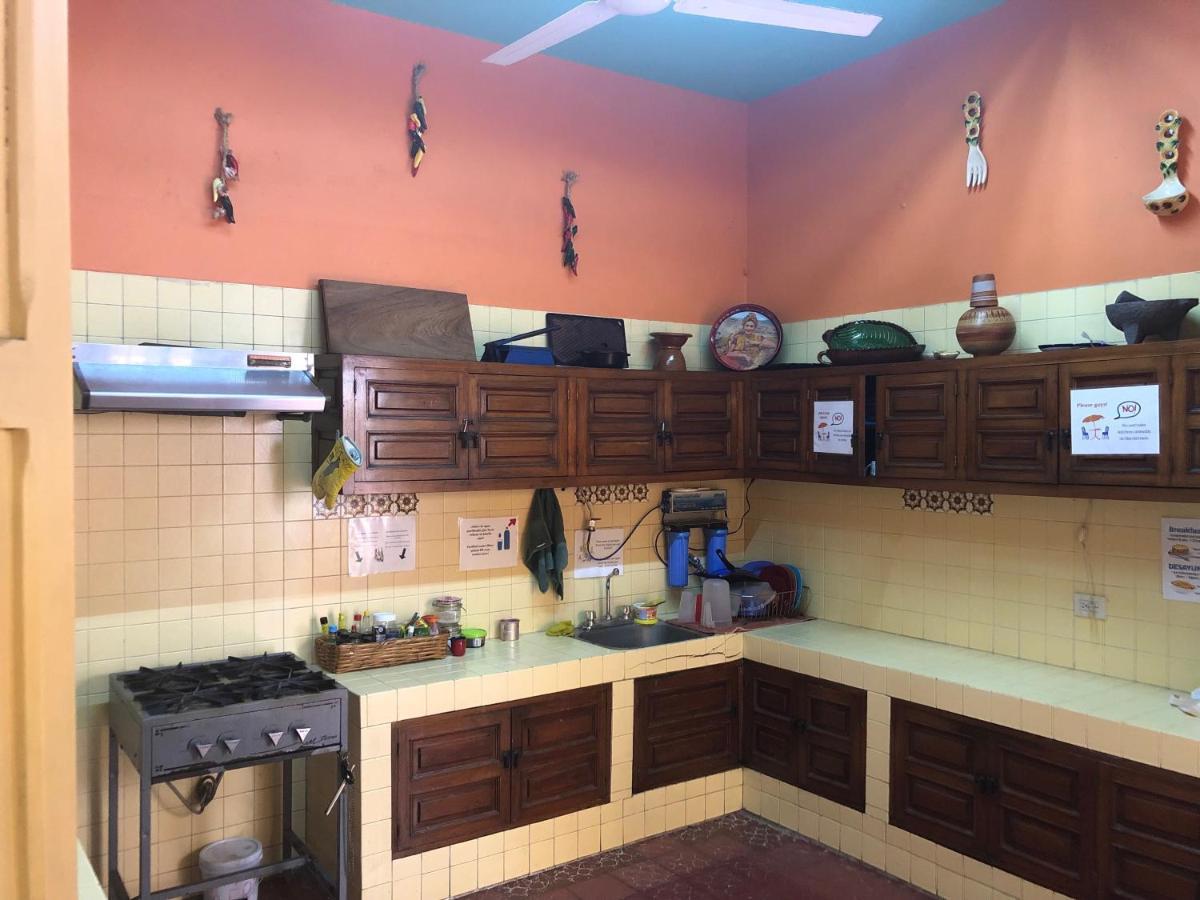 Auberge de jeunesse Casa Kraken *