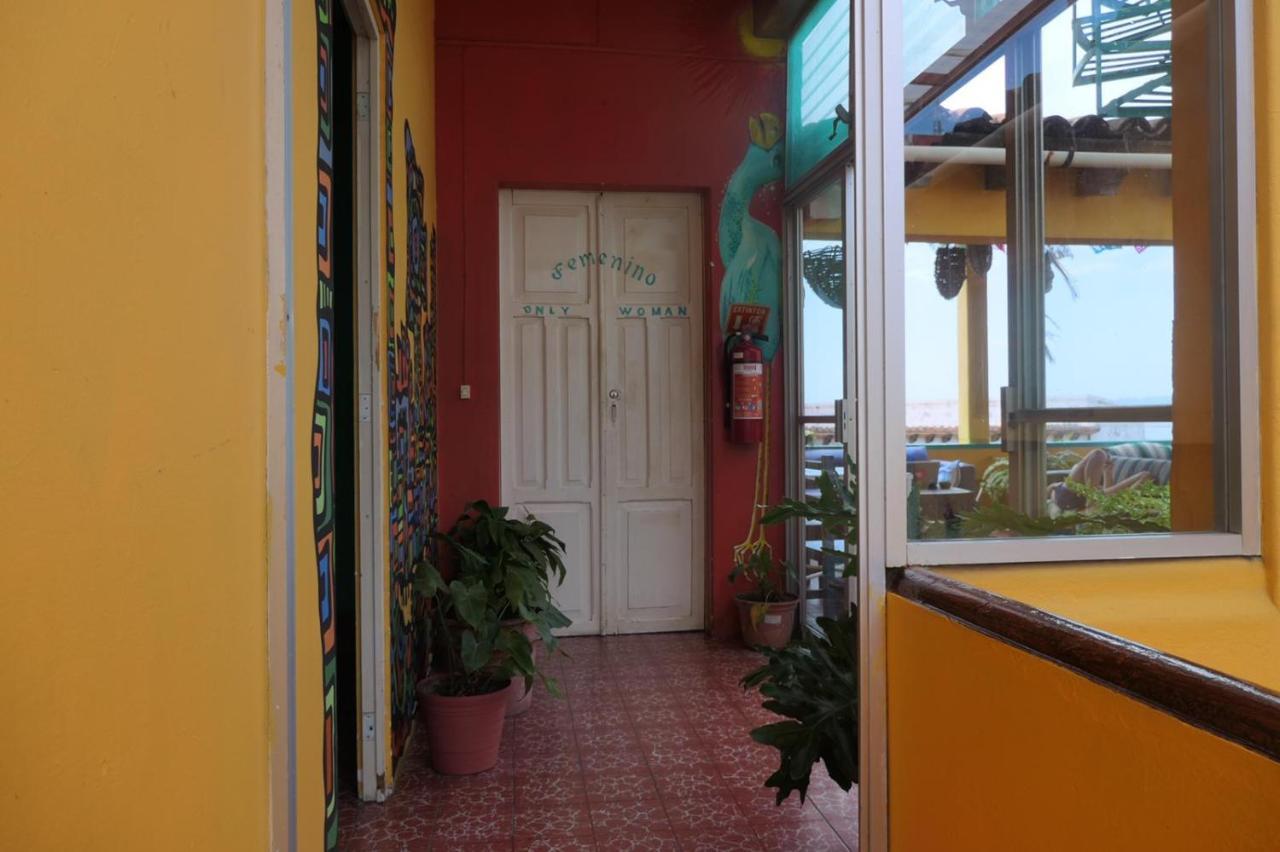 Auberge de jeunesse Casa Kraken