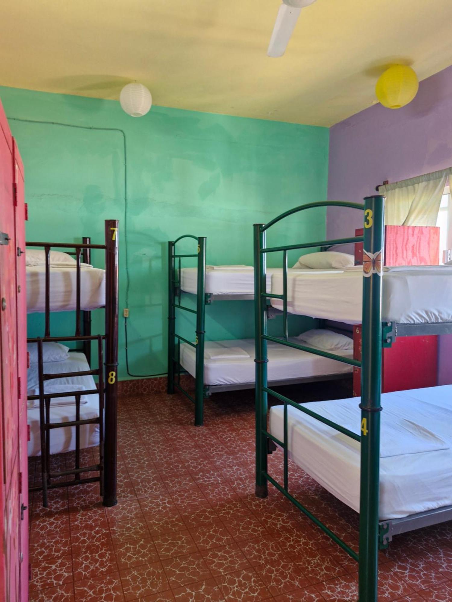 Auberge de jeunesse Casa Kraken Puerto Vallarta